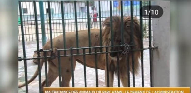 Maltraitance des animaux du Parc HANN: L'administration dément et précise