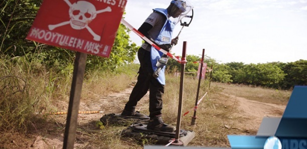 Casamance : Vers une reprise des opérations de déminage