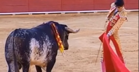 Un torero meurt après un coup de corne en pleine corrida en Espagne (images choquantes!)