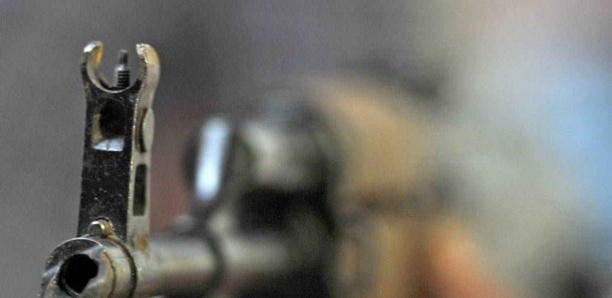 La Nouvelle-Zélande interdit la vente de fusils d'assaut et de fusils semi-automatiques