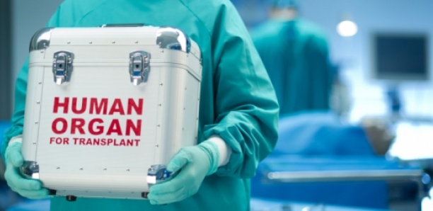 Trafic d’organe rénal : Les assurances du Comité de transplantation