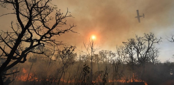 Sécheresse et déforestation : au Brésil, les incendies sont en hausse de 83%