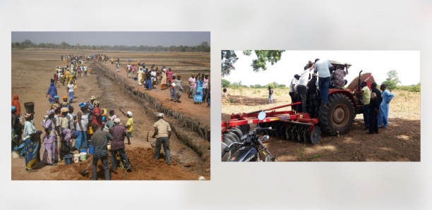 Sédhiou - Le Papsen équipe le monde paysan de 100 motoculteurs et de 10 tracteurs