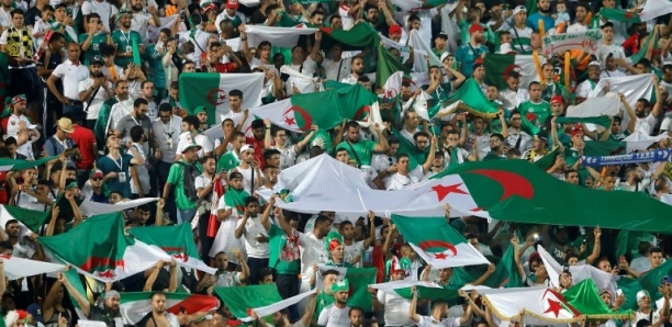 CAN 2019: 28 avions pour transporter les fans algériens en Égypte