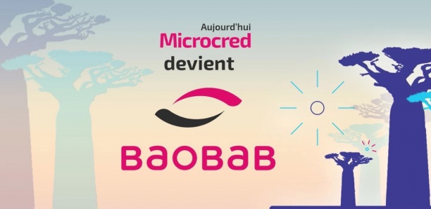 MICROCRED DEVIENT BAOBAB