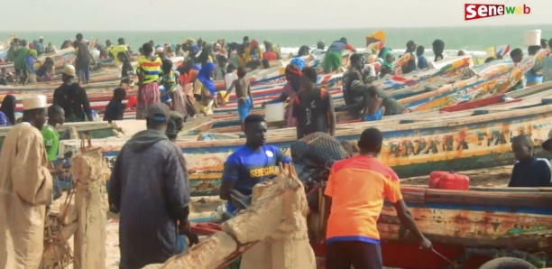350 pêcheurs sénégalais expulsés de la Mauritanie : 