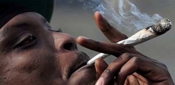 Ocrtis-Changement : Prise en charge de la personnalité des drogués et non les mener en prison