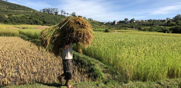 Madagascar: prudence de la Banque mondiale sur l’avenir économique du pays