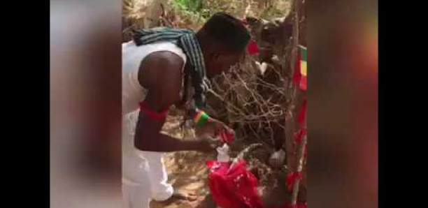 Match Sénégal - Bénin : Ce marabout sénégalais répond au féticheur de bénin