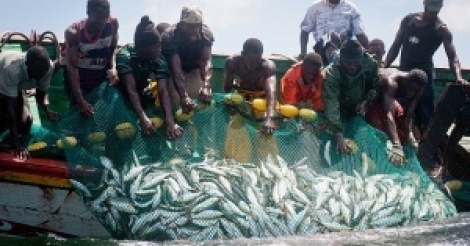 Kafountine: Le conseil local de pêche artisanale va en guerre contre les engins prohibés