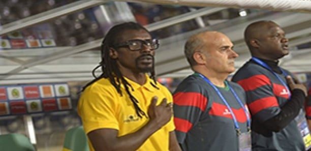 Staff des Lions : Pourquoi les renforts