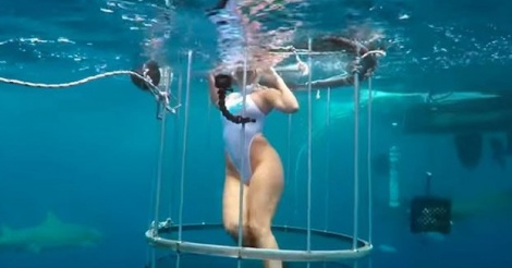 La vidéo de l’actrice porno attaquée par un requin sent le canular