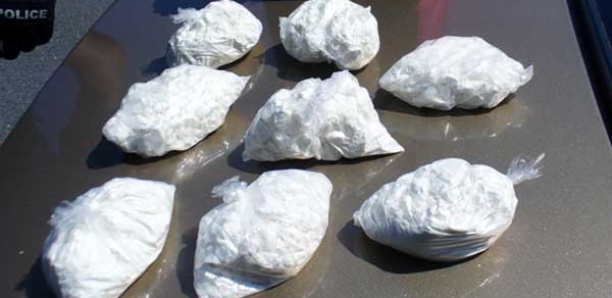 SAISIE RECORD : La Douane met la main sur 238 kilos de cocaïne au Port