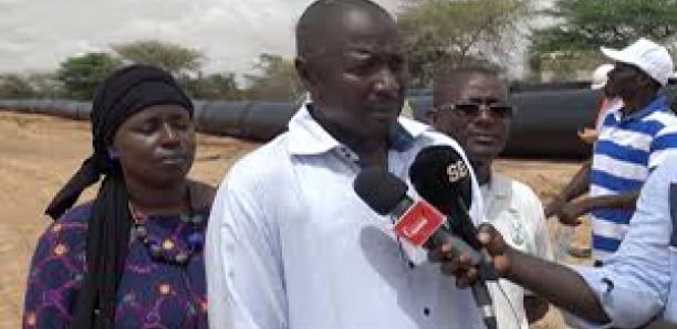 COMPAGNIES D'ASSURANCES : Momar Cissé déplore les lenteurs administratives et préconise…