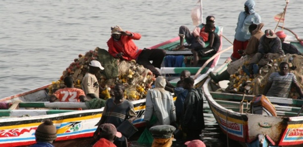 Accidents maritimes : 61 pêcheurs portés disparus depuis janvier