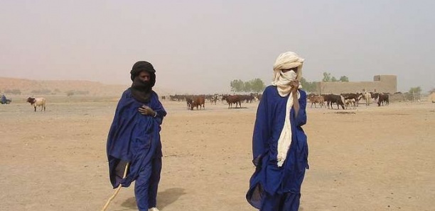 Peuls et Dogon dans la tourmente au Mali : histoire d’une longue relation ambivalente