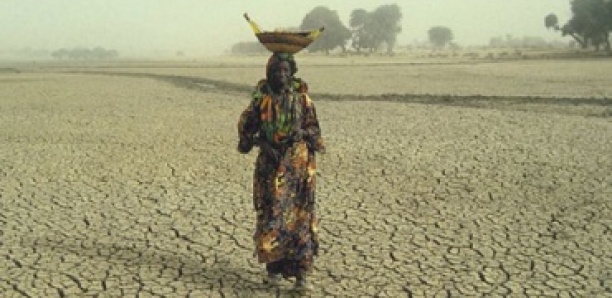 13 millions de personnes en détresse au Sahel