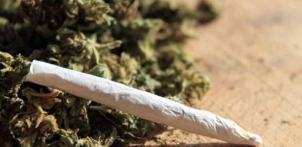 Un dealer tombe dans les filets de la police