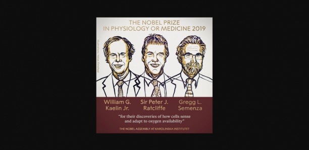 Le prix Nobel de médecine 2019 décerné à William G. Kaelin et Peter J. Ratcliffe, Gregg L. Semenza pour leurs travaux sur l'oxygénation des cellules