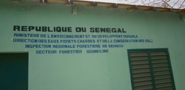 Bounkiling : 115 sacs de charbon saisis à Sinthiou Alimou