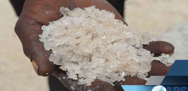 Kaffrine : 150 tonnes de sel impropre à la consommation saisies en deux ans (service du commerce)