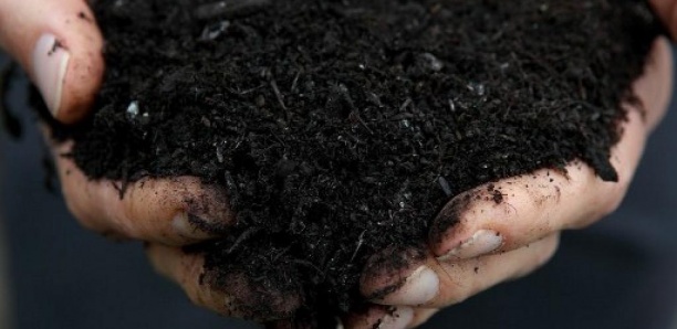 L’État de Washington légalise le «compost humain»