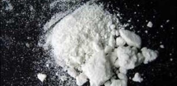Kaolack : La Douane saisit 16 kg de drogue dure