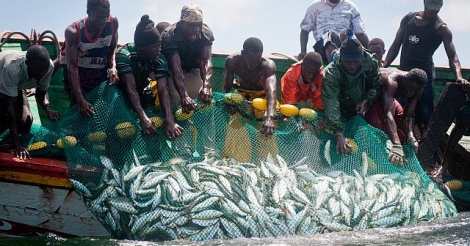 Les pêcheurs Sénégalais appelés à respecter la souveraineté Mauritanienne sur ses ressources