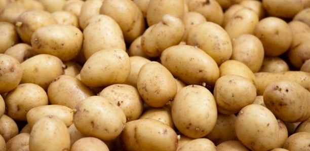 En Inde, les agriculteurs n'ont pas le droit de faire pousser les mêmes pommes de terre que PepsiCo
