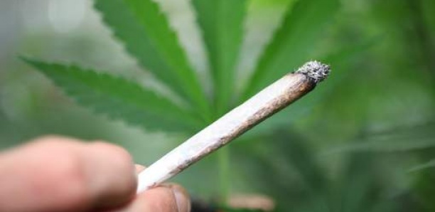 Le gouvernement exclut toute légalisation du cannabis récréatif