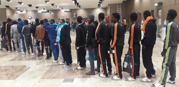 Immigration : 120 Sénégalais rapatriés de la Libye