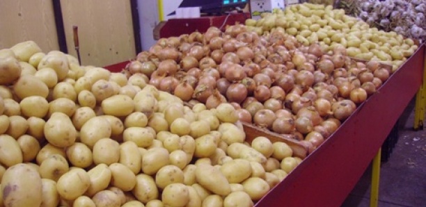 Oignon et pomme de terre : Un surplus de 25 000 tonnes