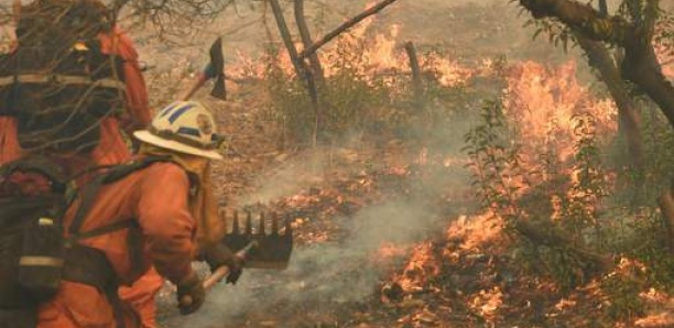 Incendie au Portugal: les flammes bientôt maitrisées