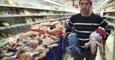 Rennes : Des cochons lachés un supermarché par des agriculteurs en colère