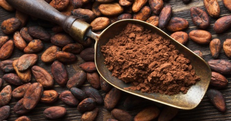 Côte d’Ivoire: régression du travail des enfants dans la cacaoculture