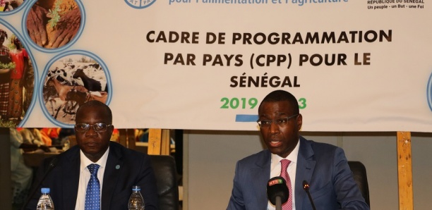 Secteur agricole et rural : Le Sénégal et la FAO renforcent leur coopération pour 5 ans