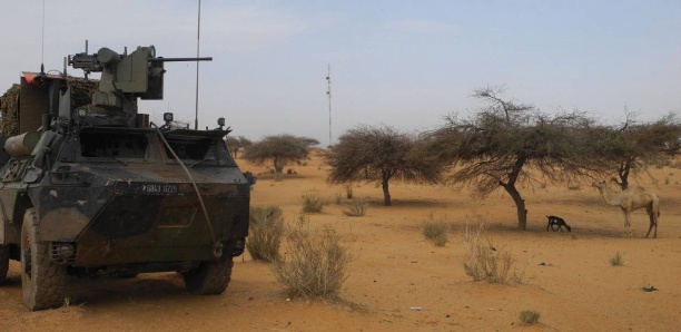 Mali: Quinze djihadistes présumés ont été « neutralisés » près de la frontière burkinabè
