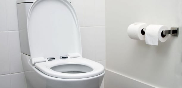 Cette ville du Pays de Galle veut installer des toilettes qui détectent les rapports sexuels