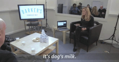 PETA fait boire du (faux) lait de chienne à des passants