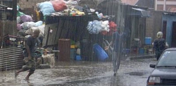 Louga: Le Retard des Pluies va impacter la production et les pâturages (responsables)