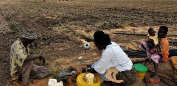 Sénégal : 375 700 personnes menacées de famine