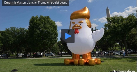 Devant la Maison Blanche, un poulet gonflable géant ressemblant à Trump