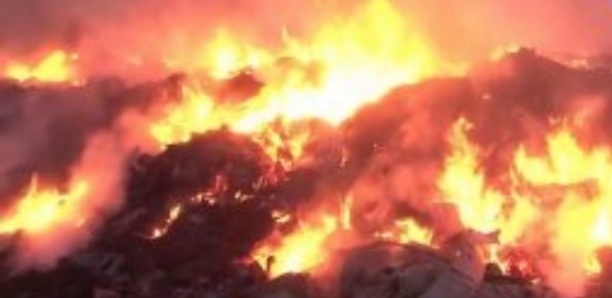 Incendie Ngoye : Une vingtaine de concessions réduites en cendres
