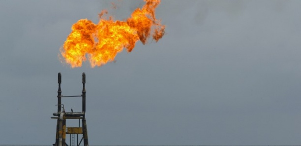 Pétrole et gaz : Le Sénégal reporte l'octroi des nouvelles licences