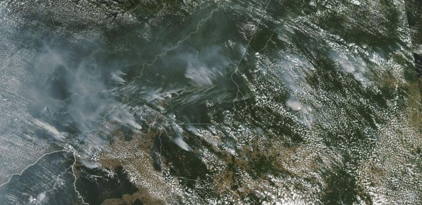 Amazonie : Qui sont les responsables de l'incendie qui ravage la forêt ?
