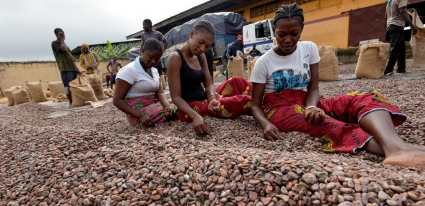 Cacao ivoirien: la menace d’un embargo américain