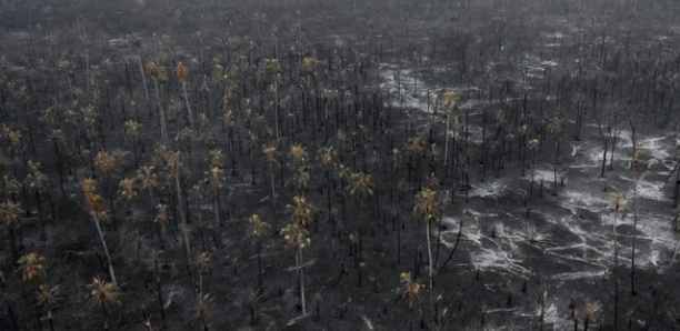Un paysage de désolation: l’Amazonie vue du ciel après les incendies