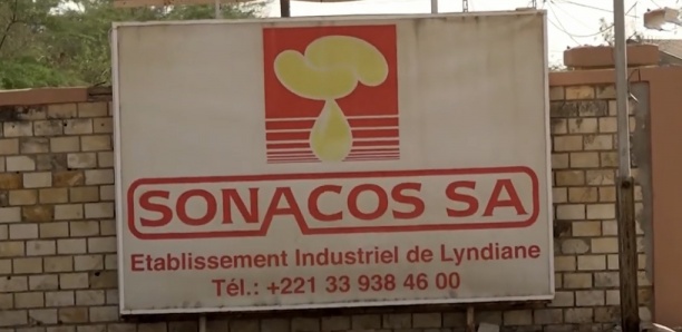 Dette de 615 millions à Cbao-Attijari : Les secrets de la saisie-vente de deux immeubles de la Sonacos