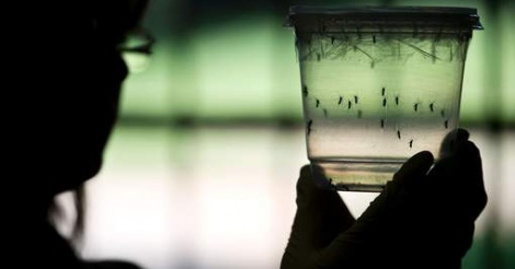 Zika peut aussi provoquer la myélite, une grave atteinte des membres