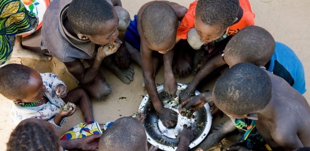 Alimentation : 177 millions de personnes ont faim en Afrique de l’Ouest (Rapport Fao)